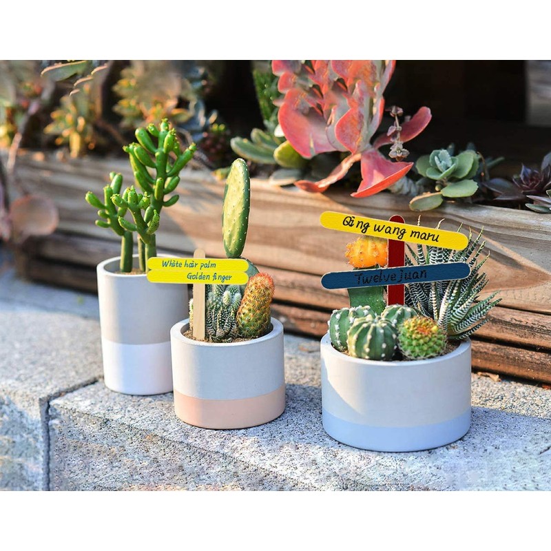 Xujia Small All Natural Wax Applicator Sticks 4 Inch (Pack