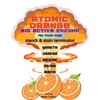 Atomic Orange Dog Mess Clean Up Kit - Useful for