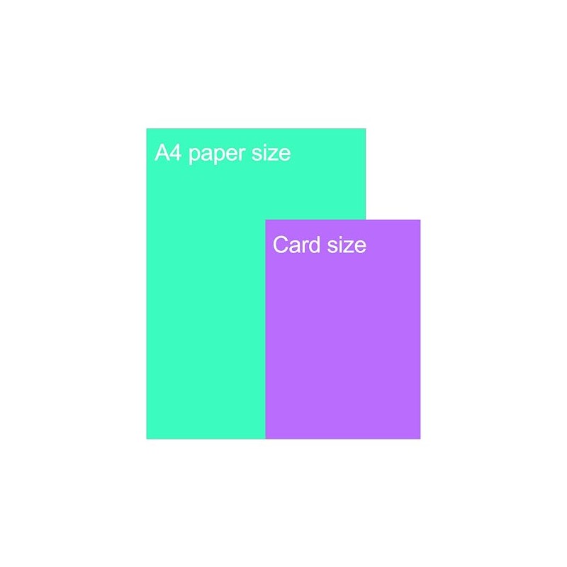 Thank You Card Cute Cow Design Perfect Way To Say