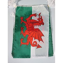 AZ FLAG WALES 12 meters BUNTING FLAG 20 flags 18'' x 12'' - WELSH STRING flags 30 x 45 cm
