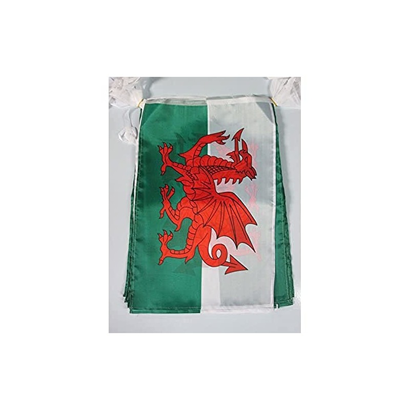 AZ FLAG WALES 12 meters BUNTING FLAG 20 flags 18''