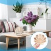 NBEADS Seashell Display Box, Shell Shaped Wooden Shell Display Case