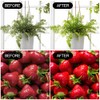 mfxmf 2 Pack LED Grow Light Bulbs A19 Bulb, Full