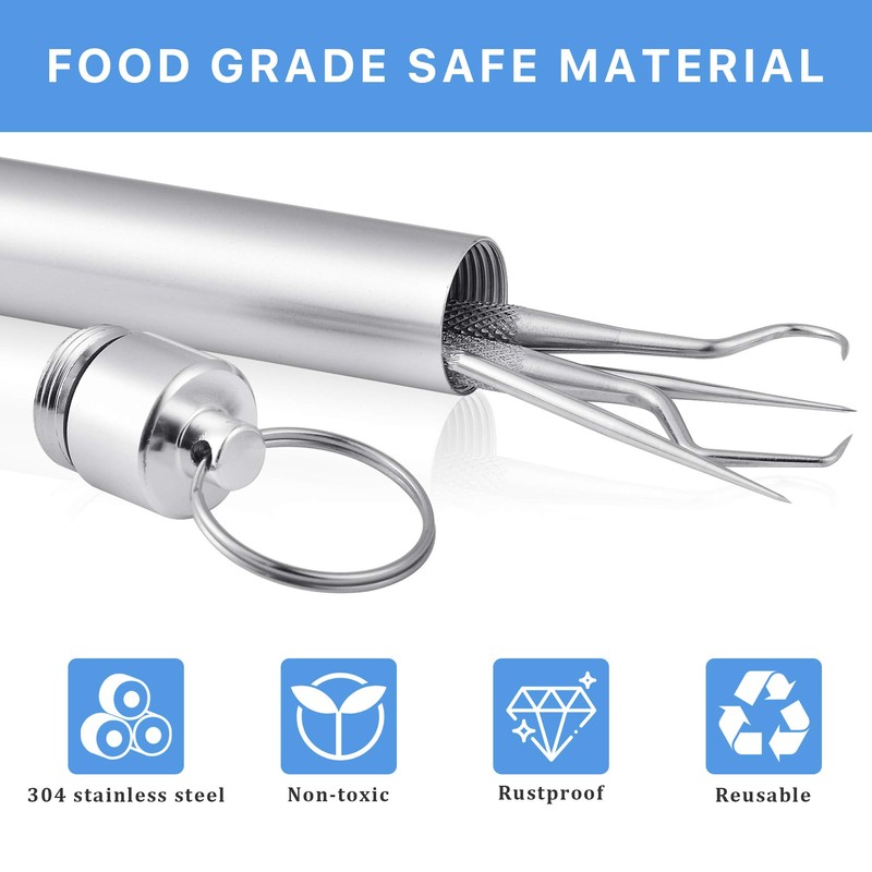 Worldity 5Pcs Reusable Toothpick, Portable Metal Toothpick, Professional Teeth Cleaning