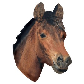 Paper House Productions 3.5" x 2.5" Die-Cut Horse Head Shaped Magnet for Refrigerators and Lockers