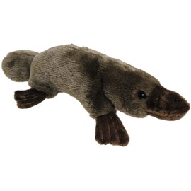 Elka Australia Platypus Soft Plush Toy, 25 x 25 Centimeters