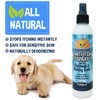 Bodhi Dog Itch Relief Spray for Pets | Natural Soothing