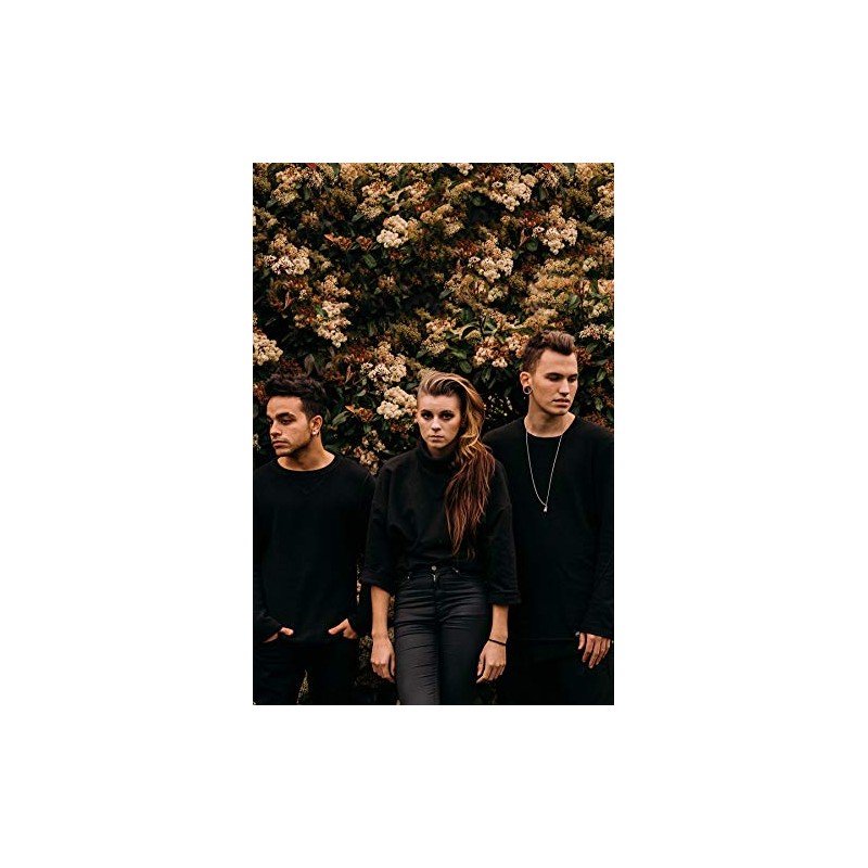 pvris 12 x 14 inch poster sscreation