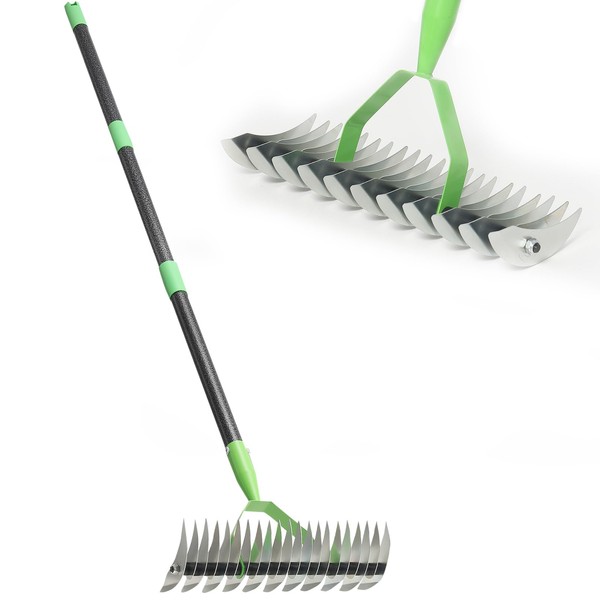 Thatch Rake for Lawns, Dead Grass Dethatcher Rake Removal Tool