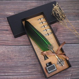 Nib Set, Nib Calligraphy Nib Dip Pen with 5 Replacement Nibs in Gift Box (Green)