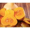 Butternut Squash Seed
