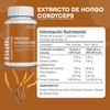 BULK SUPERFOOD Hongo Cordyceps en Cápsulas - 60 Cápsulas -