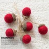VICASKY Christmas Craft DIY Felt Ornaments Wool Tree Decoration Set