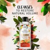 Herbal Essences bio:renew White Grapefruit & Mosa Mint Naked Volume