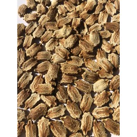 Bittermelon Seed 100 PCs  Bitter Melon Seeds Gourd Ampalaya Seeds Fresh Harvested US Seller