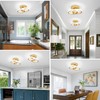 EIDISUNY LED Ceiling Light Modern Ceiling Lamp Silver Round Simple