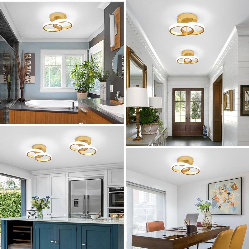 EIDISUNY LED Ceiling Light Modern Ceiling Lamp Silver Round Simple