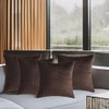 Andreannie Set of 4 Velvet Super Soft Comfortable Solid Decorative