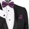 Alizeal Mens Party Paisley Pre-tied Bow Tie, Pocket Square and