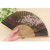 Asahi King Fan 風神 Beard Of Brown Black 156306