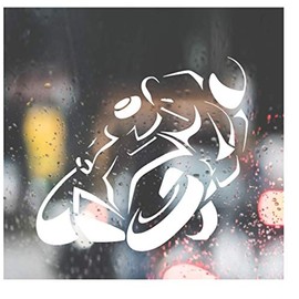 Custom Decal Car for Sportbike Rider Lean Motorcycle for Car, Truck, Funny, Tumbler, Window, Motorcycle, Helmet, Bumper, Decal for Laptop, Phone, Home Decoration / 4 in x 4.5 in/White