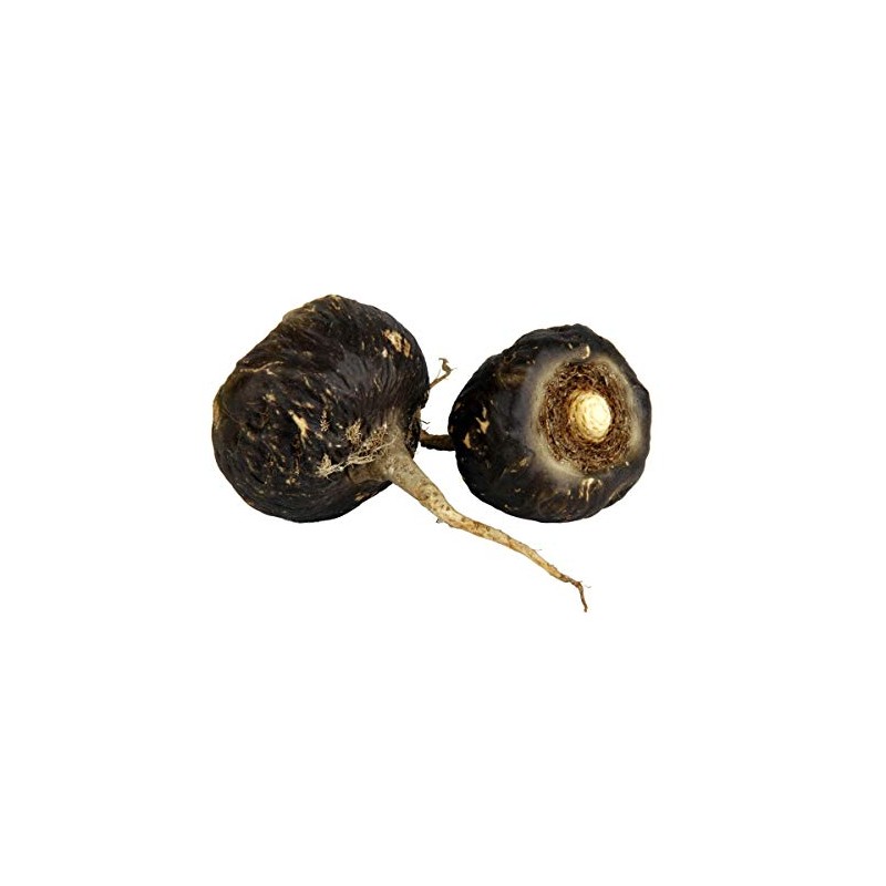 SABIA MADRE TIERRA - Maca Negra Peruana 250g - ORGANICA
