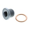 VAICO V46-0422 Locking Screw, Tub