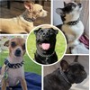 Black Dog Spike Collars,Mushroom Rivet Spike Puppy Collars Girls Boys