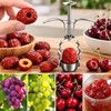 Stainless Steel Fruit Pitter for Cherries & Jujubes – Spring-Loaded