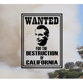 “Wanted Gavin Newsom for The Destruction of California” | Vinyl Decal by Check Custom Design | California Pride | Los Angeles | Wildfires | California Governor | Multiple Colors and Sizes