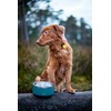 Orbiloc Dual Flashing/Solid Safety LED Light for Dogs - High
