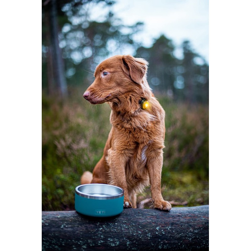 Orbiloc Dual Flashing/Solid Safety LED Light for Dogs - High