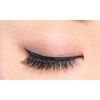 D-UP Eyelashes RICH 811 False Eyelashes, 2 Pairs