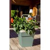 EDA Flower Pot, Laurel Green, Hauteur 32 cm