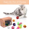 LASOCUHOO Cat Toys, 30 Packs Interactive Cat Toy Pack Including