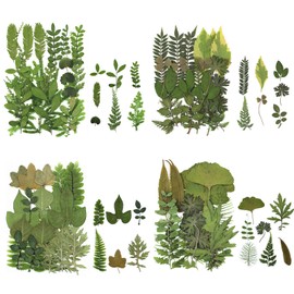84 Pieces Dried Pressed Leaves Plant Herbarium Leaves Petals Mixed Real Natural Dry Leaves for Resin Crafts DIY Nail Stickers Embellishments Decorations