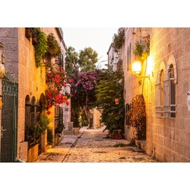 Loccor Fabric 10x8ft Jerusalem Old House Street Backdrop Night Ancient Village Old Stone Wall Building Flower Street Scenery Photo Background Israel Party Decor Family Travel Photo Studio Props