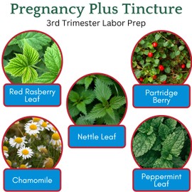Herb Lore Pregnancy Tea Plus Tincture - Third Trimester Labor Prep Tea for Last 6 Weeks of Pregnancy with Red Raspberry Leaf & Partridge Berry (2 fl oz)
