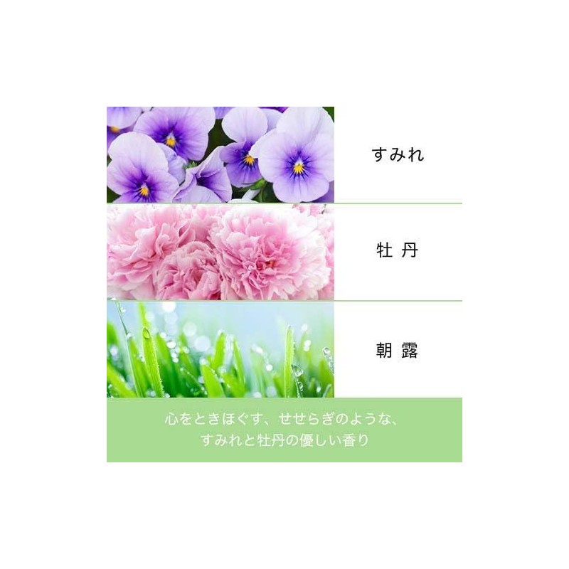 Micellar Pure & Moist Shampoo & Treatment Refill 11.8 fl