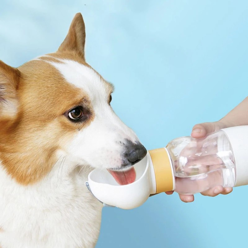 Eco-Friendly Cute Travel Pet Water Bottle Easy-to-Clean Pet Health Drinking