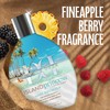 Tan Inc Brown Sugar Double Dark Island Princess 400X Bronzer