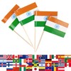 JBCD India Toothpick Flag Indian Mini Small Cupcake Topper Flags,