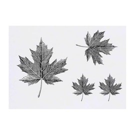 4 x 'Maple Leaf' Temporary Tattoos - Water Resistant, Skin-Safe, Non-Toxic Transfers, Mixed Sizes (TO00084570)