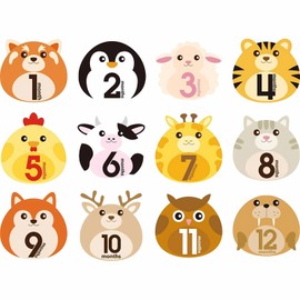 COLORBIRD Monthly Cards, 12 Monthly Cards, Baby 12, Childcare Diary, Monthly Photo Goods, Monthly Photo, Baby Diary