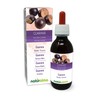 Guarana (Paullinia cupana) Seeds Alcohol-Free Mother Tincture Naturalma | Liquid