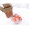 Super San, Saniquad Case of 125 2oz. Individual Packets of