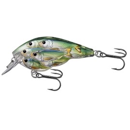 Livetarget 年間用スクエアビル 2-3/8インチ ブルーシャルトリューズ