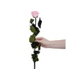 Juli Flowers Premium Infinity Rose in Pink