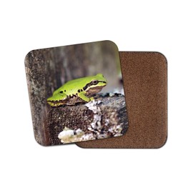 1 x Cute Green Frog Coaster - Toad Frogs Amphibian Pond Wildlife Jungle #8894