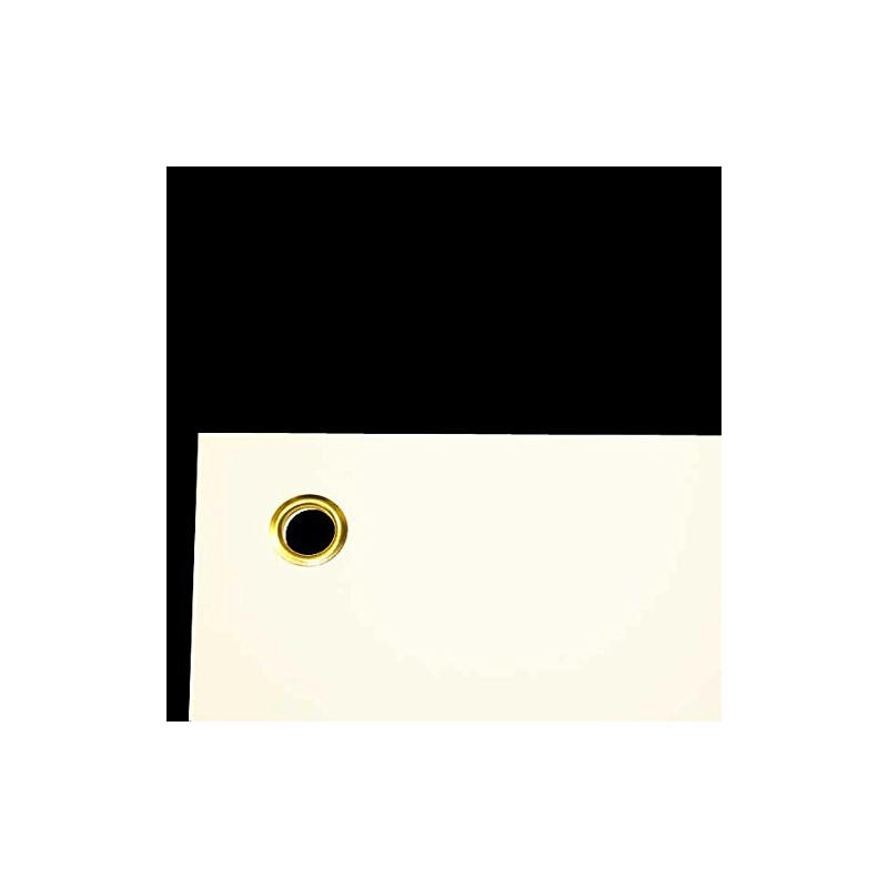 Ligaments of the Joints Anatomical Chart